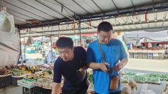 粮油、调味品、肉成品等11类食物