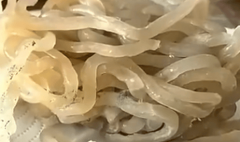 问题集中正在2025年6月16日、6月18日两个批