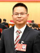 如通过制发查察